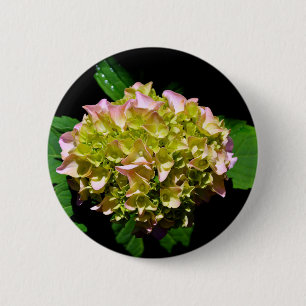 Badge Rond 5 Cm Elégant vert doux vert rose vert vert hydrangée
