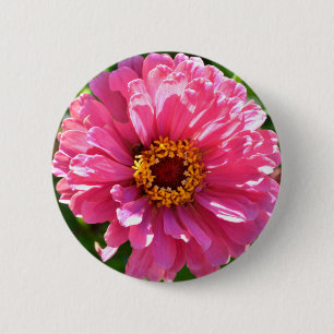 Badge Rond 5 Cm Elégante marguerite rose rose rétro