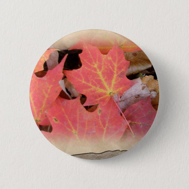 Badge Rond 5 Cm Éléments de coordination des Feuilles de l'érable  (Devant)