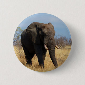 Badge Rond 5 Cm Eléphant africain