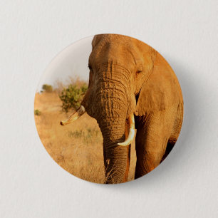 Badge Rond 5 Cm Éléphants