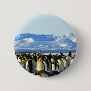 Badge Rond 5 Cm Emperor penguins