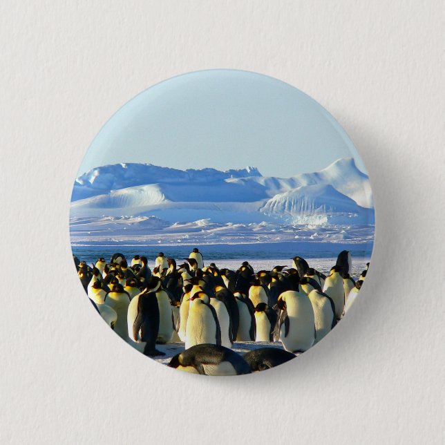 Badge Rond 5 Cm Emperor penguins (Devant)