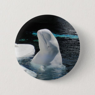 Badge Rond 5 Cm Épinette de béluga