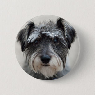 Badge Rond 5 Cm Épingle ronde de chien Schnauzer