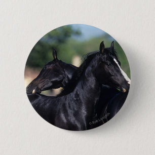 Badge Rond 5 Cm Éraflure arabe de cheval