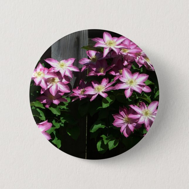 Badge Rond 5 Cm Escalade Clematis Fleurs de printemps violettes (Devant)
