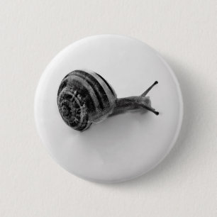 Badge Rond 5 Cm Escargot