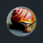 Badge Rond 5 Cm Escargot<br><div class="desc">Escargot. Photographe : Dennis P. Website : http://www.flickr.com/photos/66235205@N06/</div>
