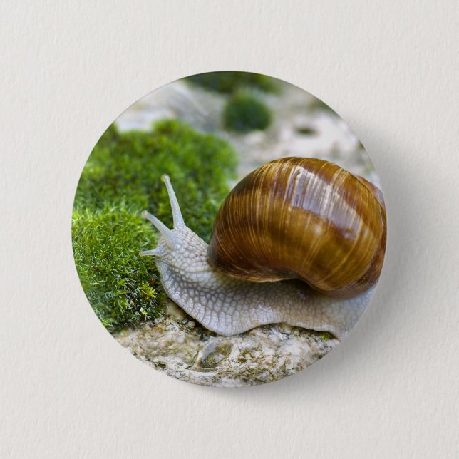 Badge Rond 5 Cm Escargot de Bourgogne (Devant)