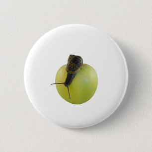 Badge Rond 5 Cm Escargot et pomme