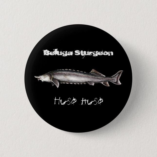 Badge Rond 5 Cm Esturgeon de beluga (Devant)