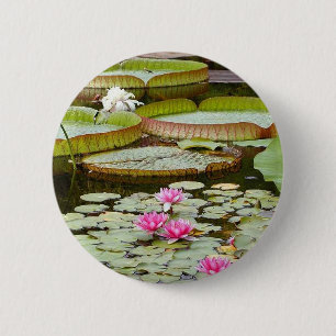 Badge Rond 5 Cm Étangs de protections de nénuphar