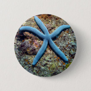 Badge Rond 5 Cm Étoile de mer bleue océan tropical Îles Raja Ampat