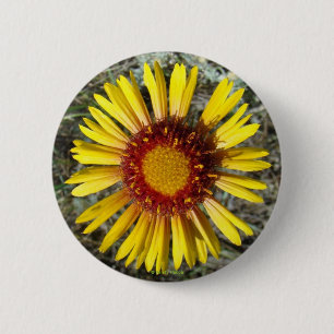 Badge Rond 5 Cm F1 Fleur sauvage jaune Gaillardia