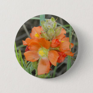 Badge Rond 5 Cm F40 Fleurs sauvages orange Mallow