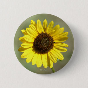 Badge Rond 5 Cm F47 Fleur sauvage jaune Tournesol annuel commun