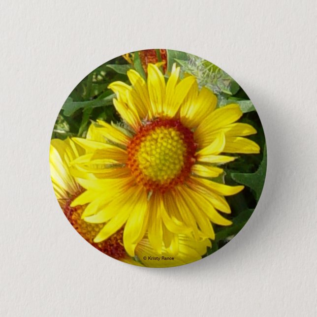 Badge Rond 5 Cm F6 Fleur sauvage jaune Gaillardia (Devant)
