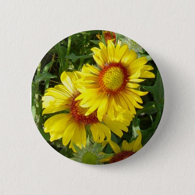 Badge Rond 5 Cm F6 Fleurs sauvages jaunes Gaillardia (Devant)