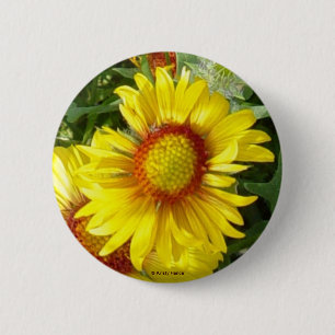 Badge Rond 5 Cm F6 Gaillardia fleur jaune sauvage