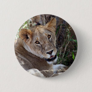 Badge Rond 5 Cm face de lion