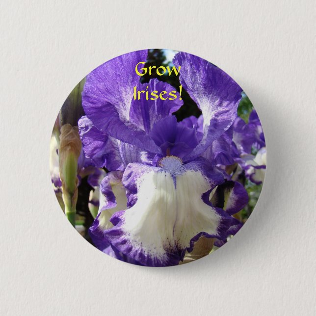 Badge Rond 5 Cm Faire pousser des iris ! Bouton fleur d'iris pourp (Devant)