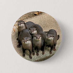 Badge Rond 5 Cm Famille adorable de loutre