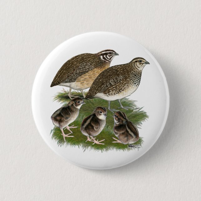 Badge Rond 5 Cm Famille de Cailles Coturnix (Devant)