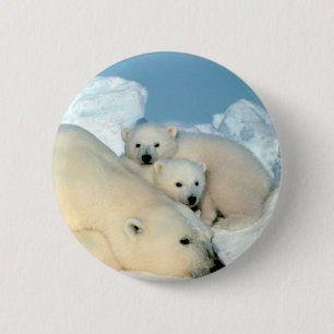 Badge Rond 5 Cm Famille d'ours blanc