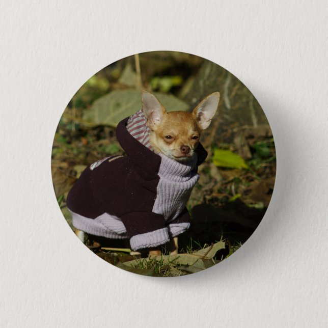 Badge Rond 5 Cm Fancy Chihuahua (Devant)