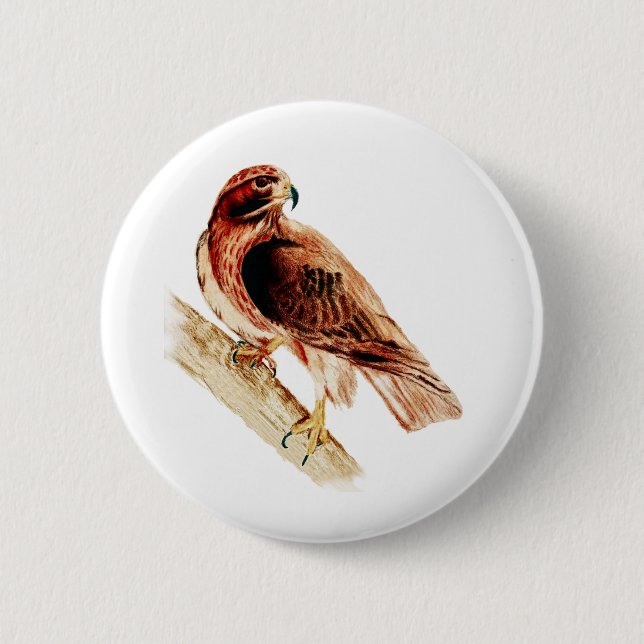 Badge Rond 5 Cm Faucon rouge de queue (Devant)
