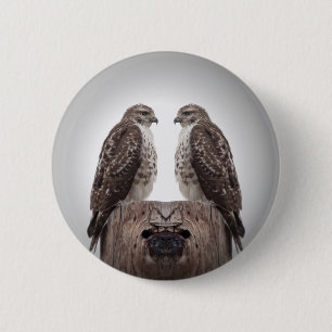 Badge Rond 5 Cm Faucons sur un courrier