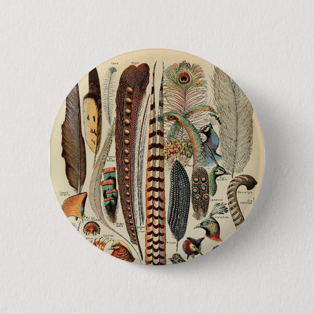 Badge Rond 5 Cm Feather Bird Wildlife Plumes d'antiquités (Devant)