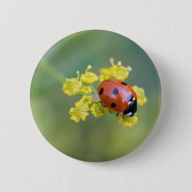 Badge Rond 5 Cm femme au sommet (Devant)