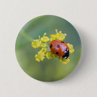 Badge Rond 5 Cm femme au sommet
