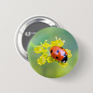 Badge Rond 5 Cm femme au sommet