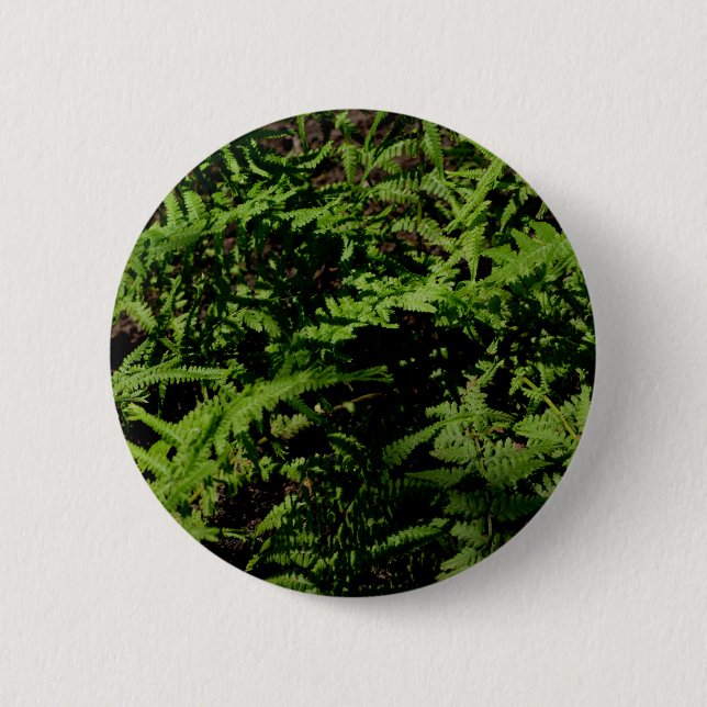 Badge Rond 5 Cm Fermes botaniques vertes (Devant)