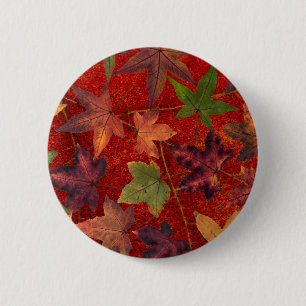 Badge Rond 5 Cm Feuille d'arbre d'automne de feuille d'automne