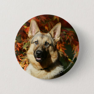 Badge Rond 5 Cm Feuille d'automne de berger allemand