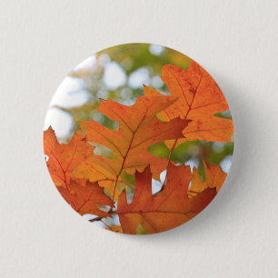 Badge Rond 5 Cm Feuille de chêne