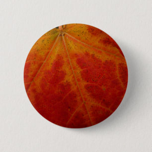 Badge Rond 5 Cm Feuille de Érable Rouge Photographie de Nature Abs