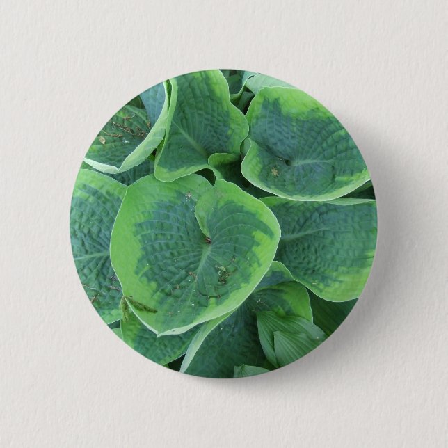 Badge Rond 5 Cm Feuille vert-foncé vert clair de Hosta varié (Devant)