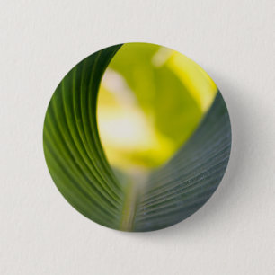 Badge Rond 5 Cm Feuille verte