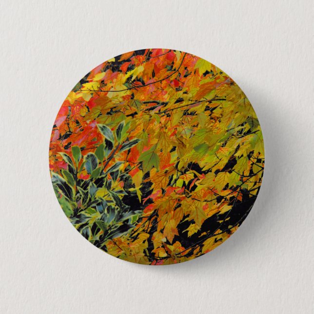 Badge Rond 5 Cm Feuilles d'automne (Devant)