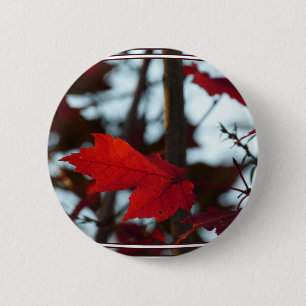 Badge Rond 5 Cm Feuilles de vacances
