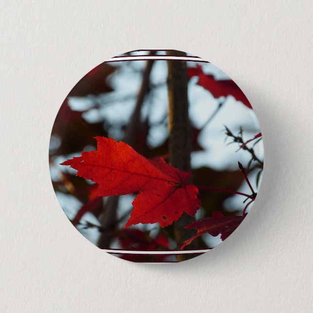 Badge Rond 5 Cm Feuilles de vacances (Devant)