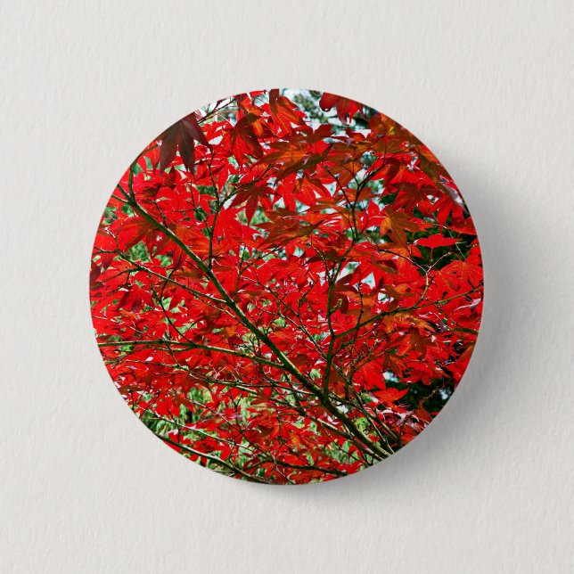 Badge Rond 5 Cm Feuilles rouges (Devant)