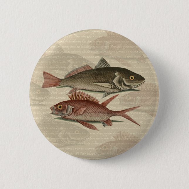 Badge Rond 5 Cm Fish Red Perch Fisherman Art (Devant)