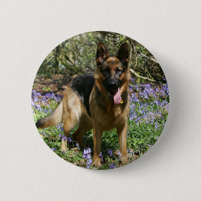 Badge Rond 5 Cm Fixation de berger allemand (Devant)