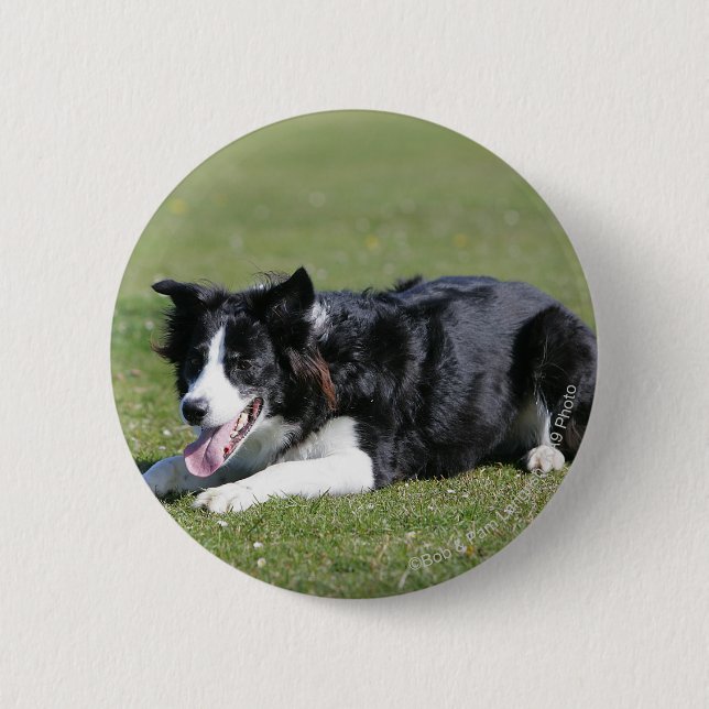 Badge Rond 5 Cm Fixation de border collie (Devant)